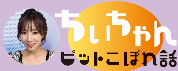 濱野智紗都コラム