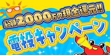 電投キャンペーン