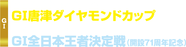 G1ダイヤモンドカップ(24年3月~31日) G1全日本王者決定戦(25年2月25日~3月2日)年